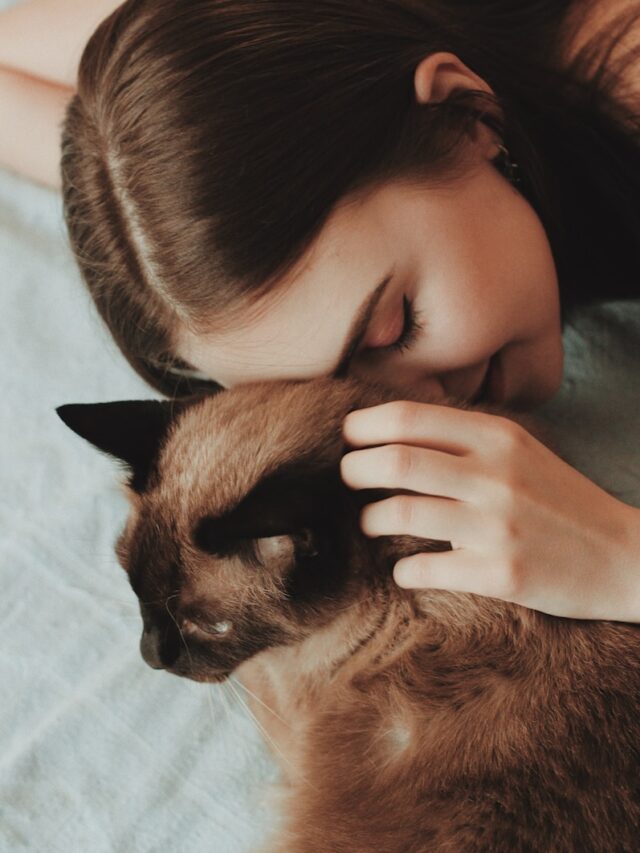 woman touching cat