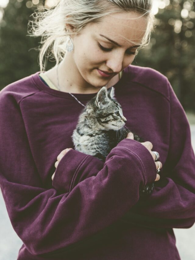 selective focus photography of woman hugging gray kitten